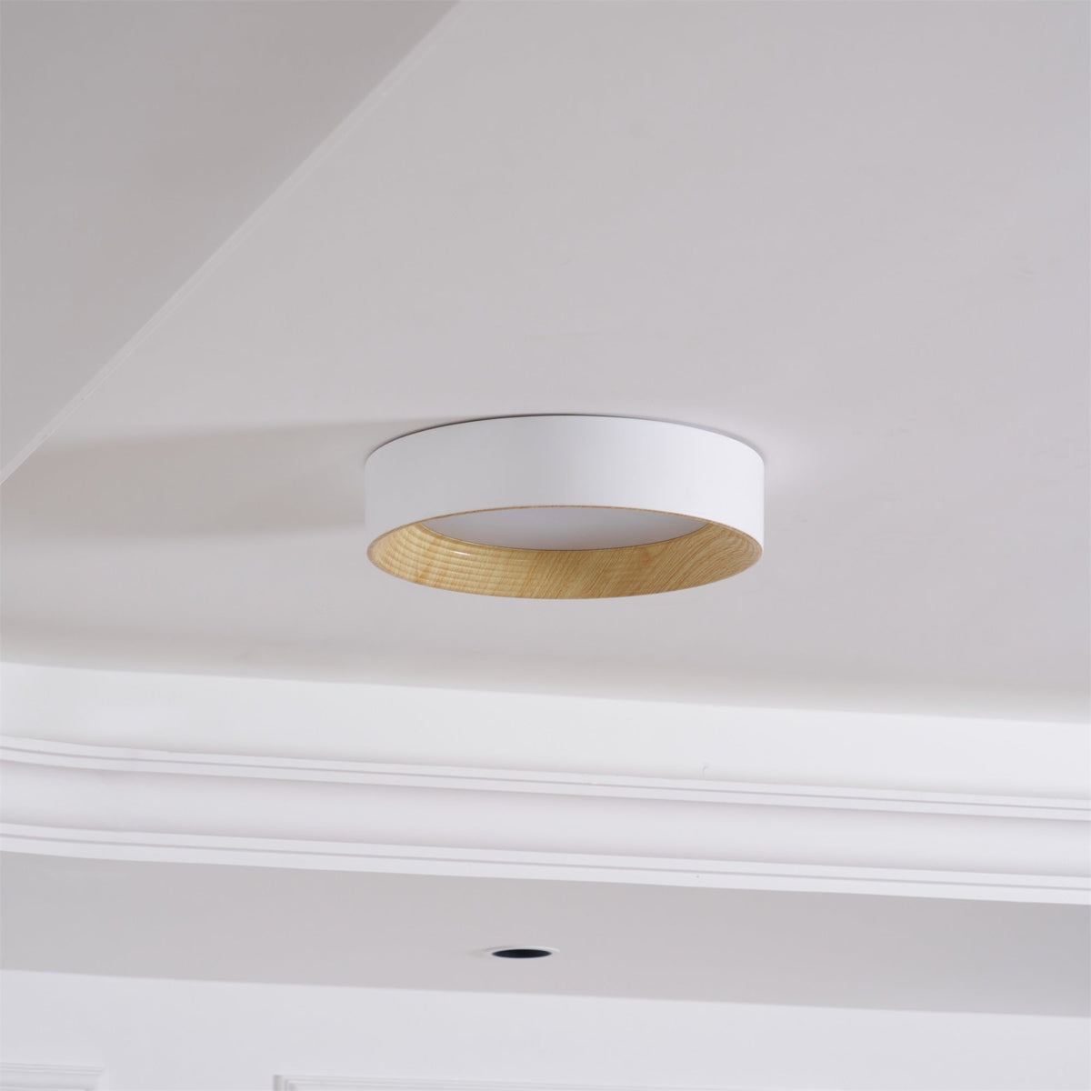 Oreen Ceiling Lamp