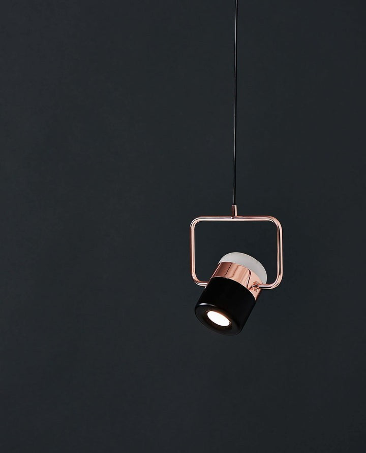 Adjustable Frosted Glass Pendant Ceiling Light