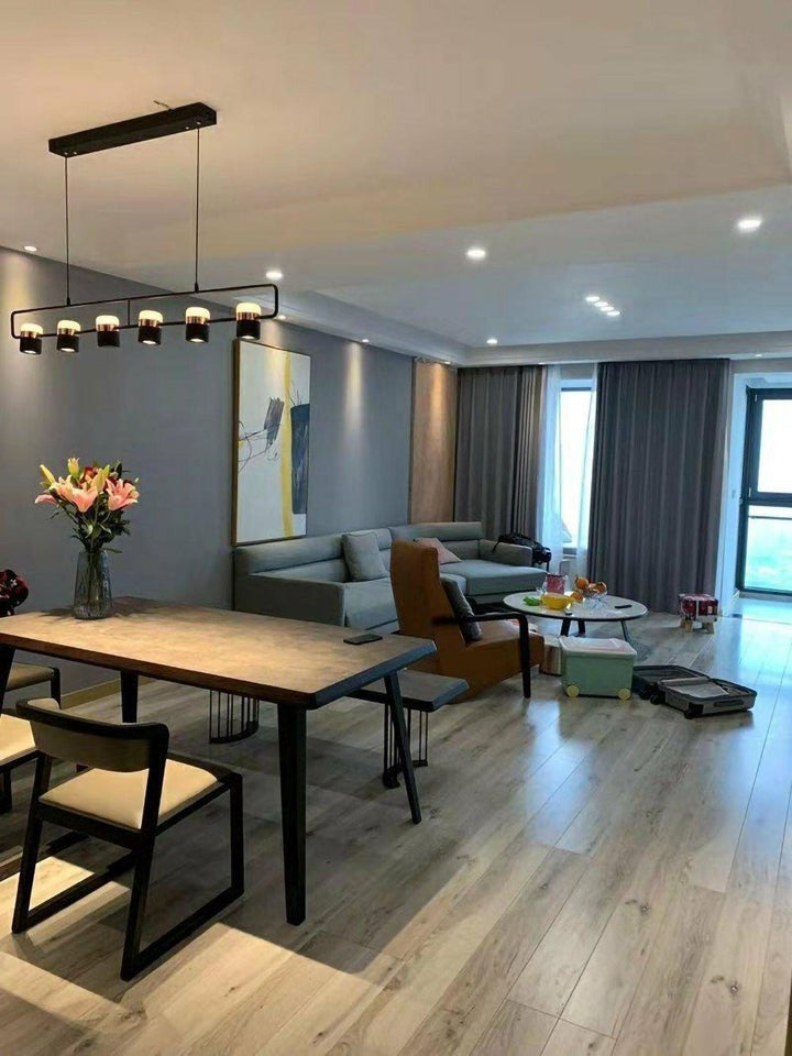 Adjustable Frosted Glass Pendant Ceiling Light