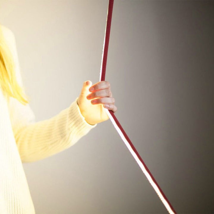 Adjustable LED Floor Lamp with Flexible Light Strip