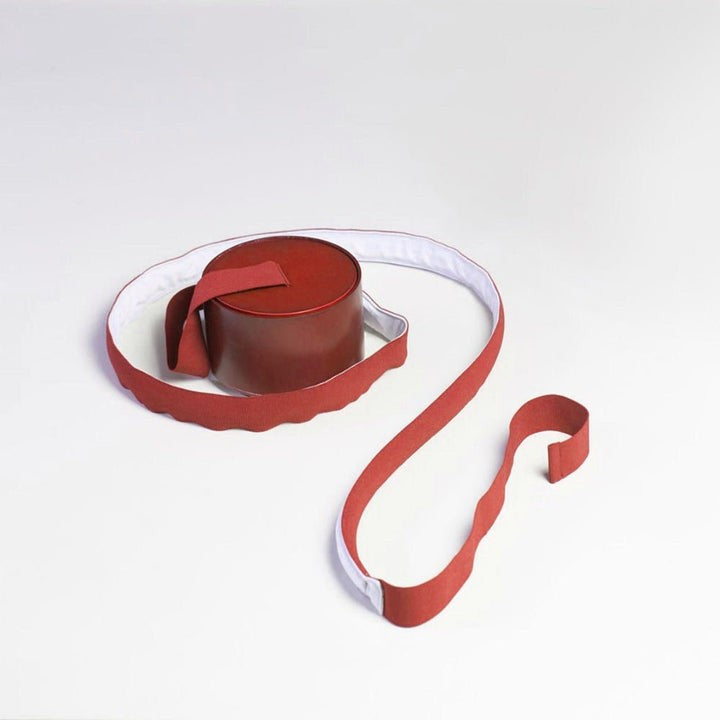 Adjustable LED Floor Lamp with Flexible Light Strip