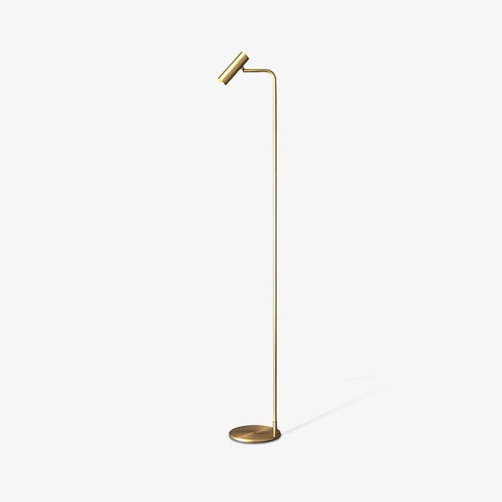 Adjustable Satin Brass LED Floor Lamp - Three-Color Light