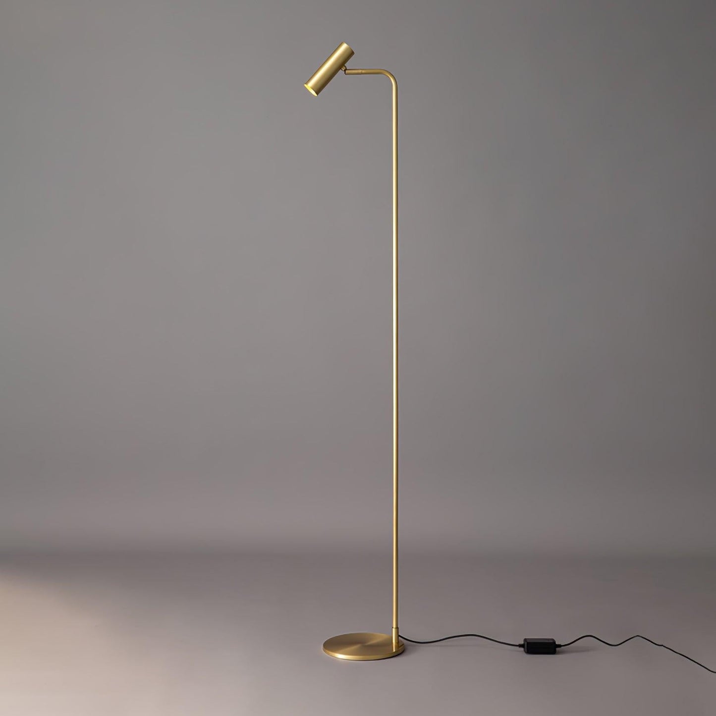 Adjustable Satin Brass LED Floor Lamp - Three-Color Light