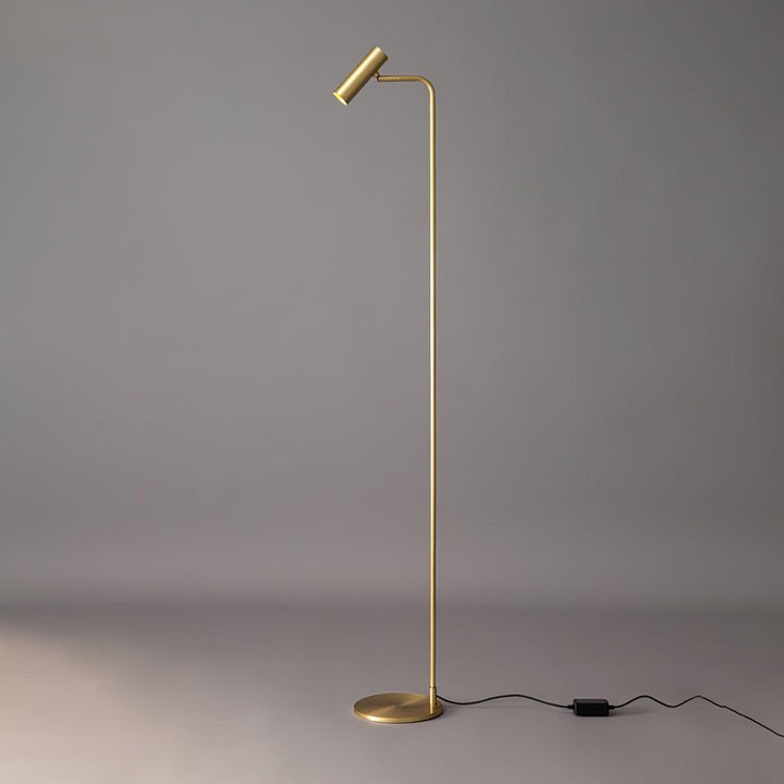 Adjustable Satin Brass LED Floor Lamp - Three-Color Light