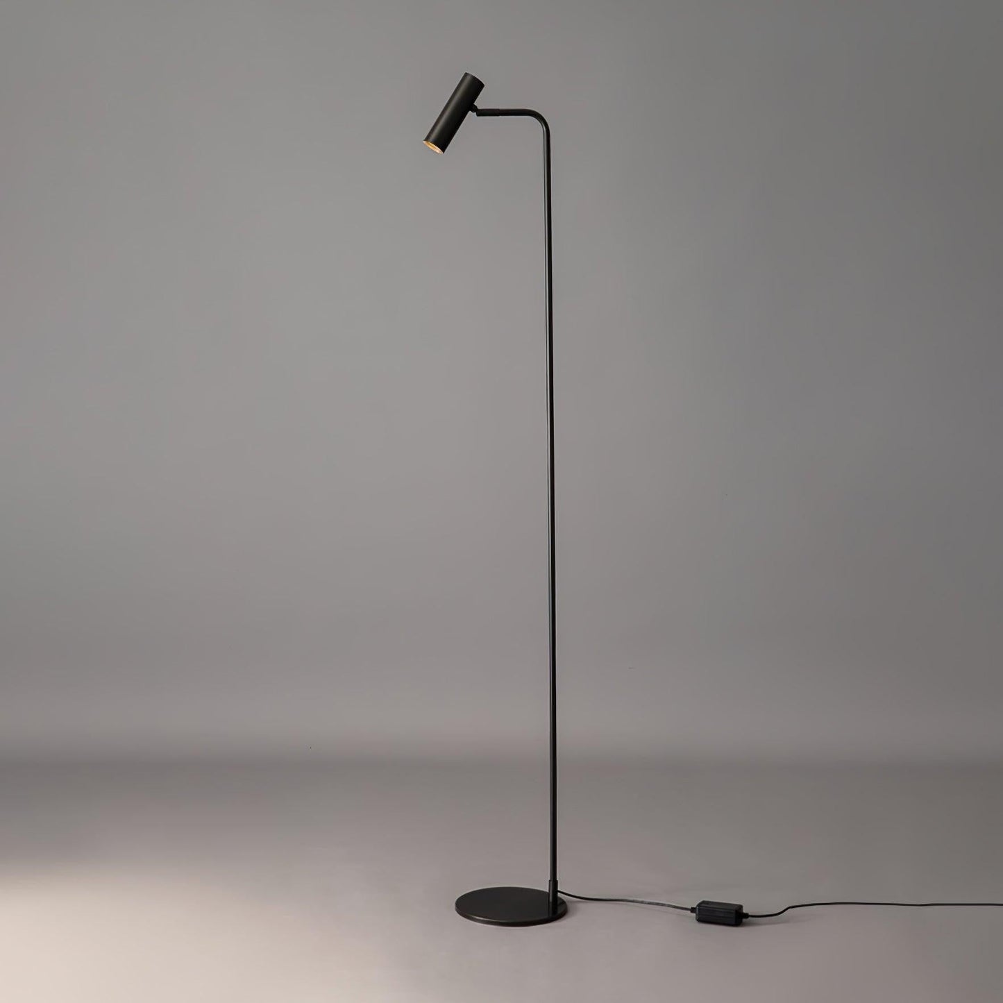 Adjustable Satin Brass LED Floor Lamp - Three-Color Light