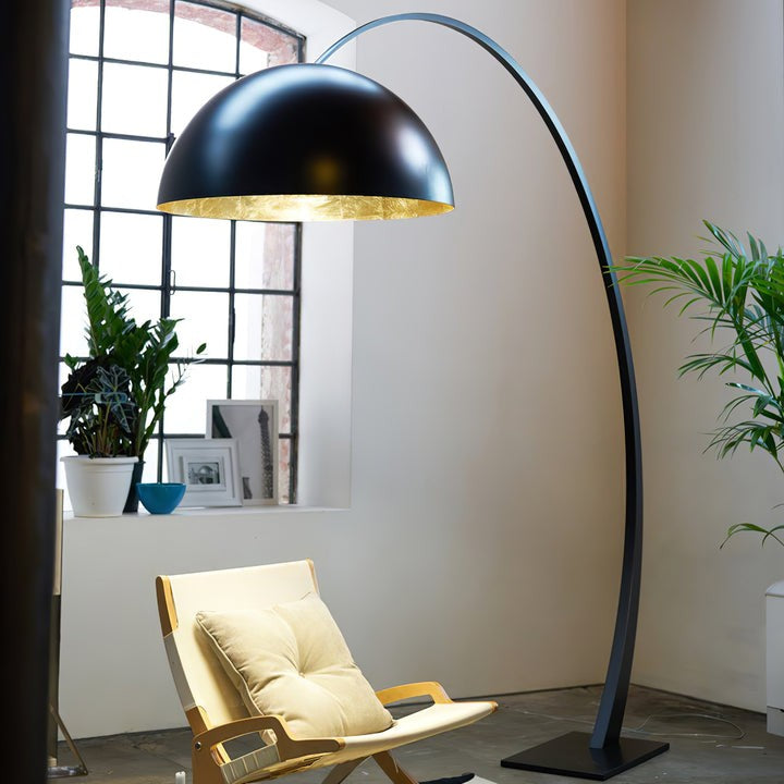 Black Arched Dome LED Floor Lamp