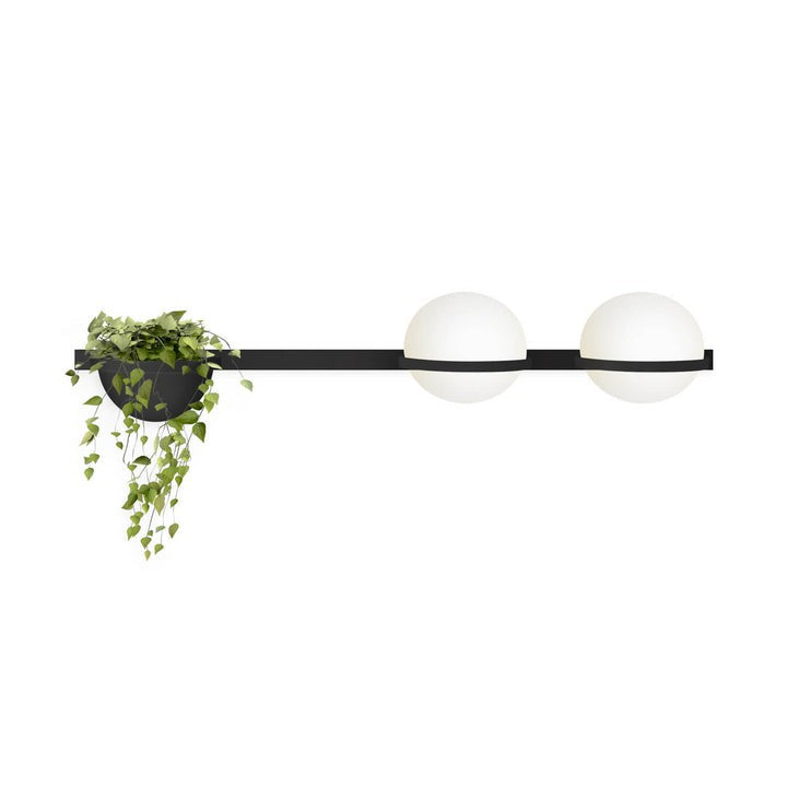 Celestial Globe Wall Sconce