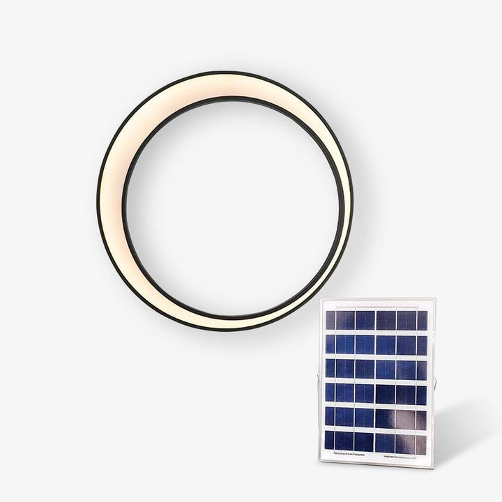 Celestial Moon LED Outdoor Wall Sconce