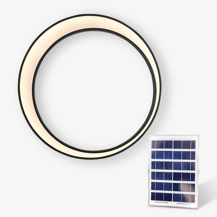 Celestial Moon LED Outdoor Wall Sconce