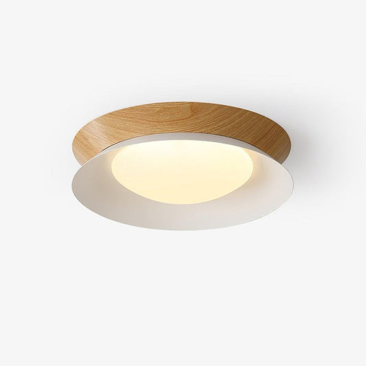 Double Half-Round LED Flush Ceiling Light