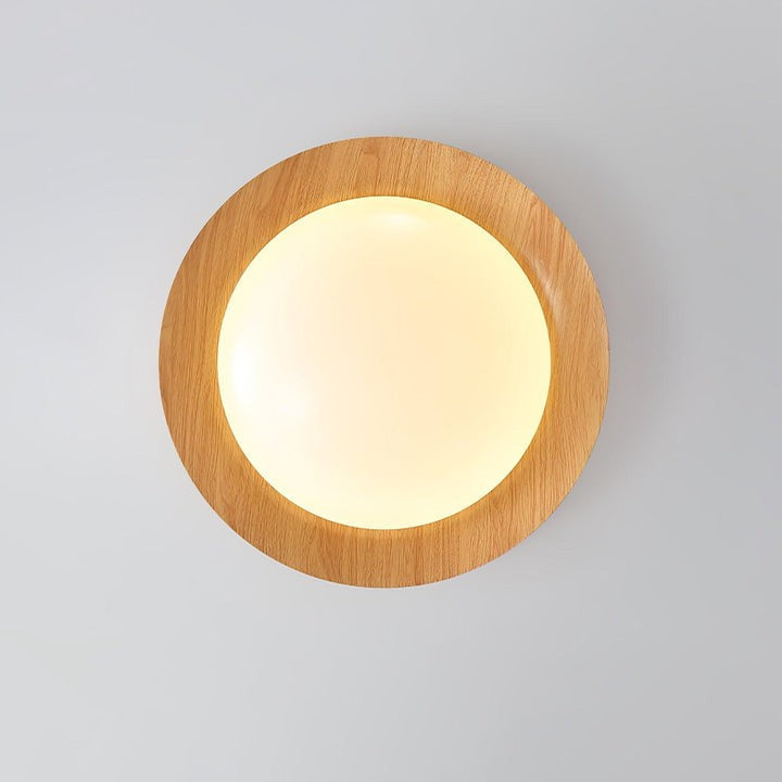 Double Half-Round LED Flush Ceiling Light