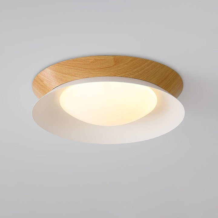 Double Half-Round LED Flush Ceiling Light