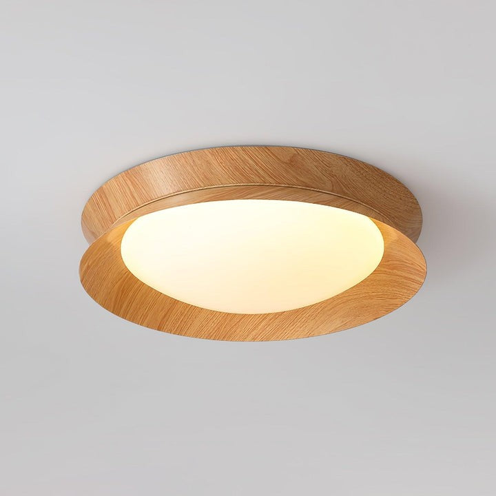 Double Half-Round LED Flush Ceiling Light