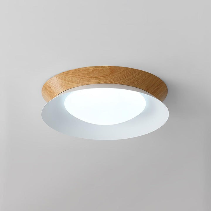 Double Half-Round LED Flush Ceiling Light
