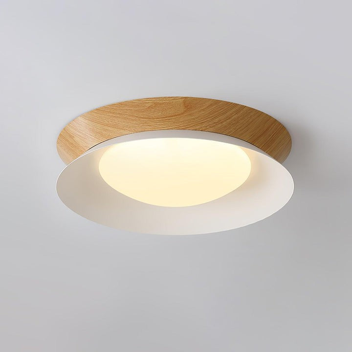 Double Half-Round LED Flush Ceiling Light