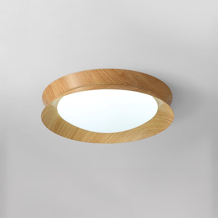 Double Half-Round LED Flush Ceiling Light