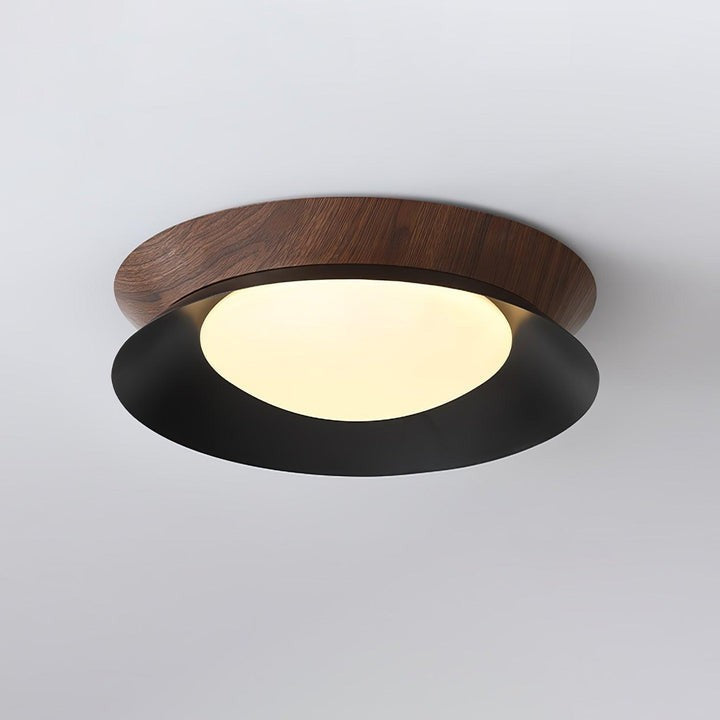 Double Half-Round LED Flush Ceiling Light