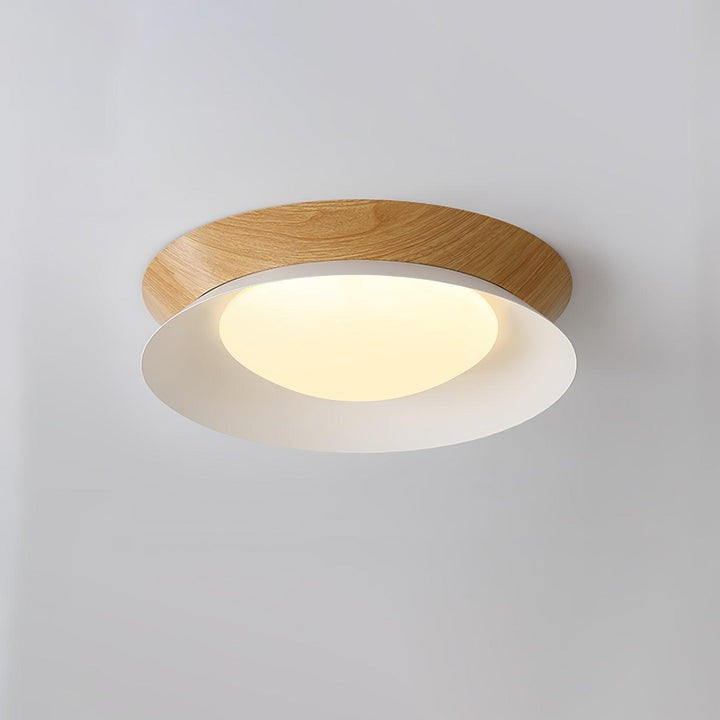 Double Half-Round LED Flush Ceiling Light