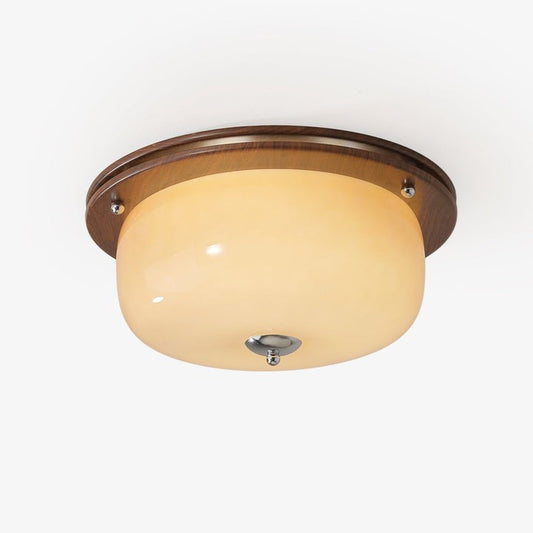Frosted Glass Dome LED Flush Mount Light
