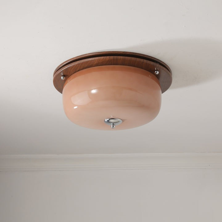 Frosted Glass Dome LED Flush Mount Light