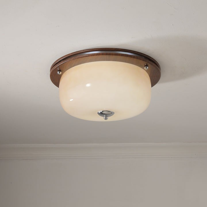 Frosted Glass Dome LED Flush Mount Light