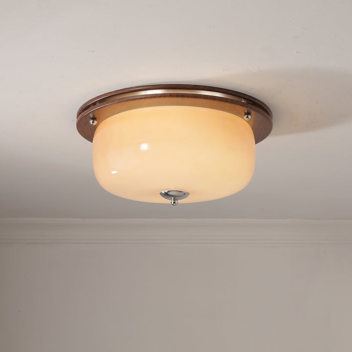 Frosted Glass Dome LED Flush Mount Light