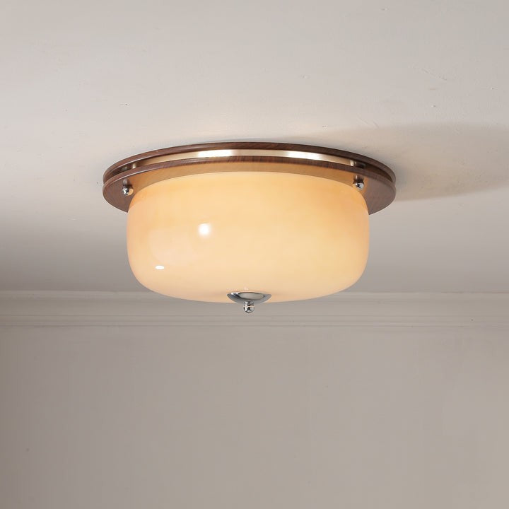 Frosted Glass Dome LED Flush Mount Light