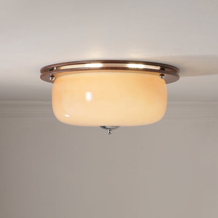 Frosted Glass Dome LED Flush Mount Light