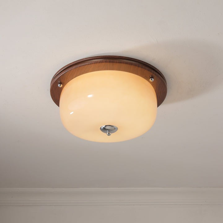 Frosted Glass Dome LED Flush Mount Light