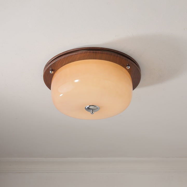 Frosted Glass Dome LED Flush Mount Light