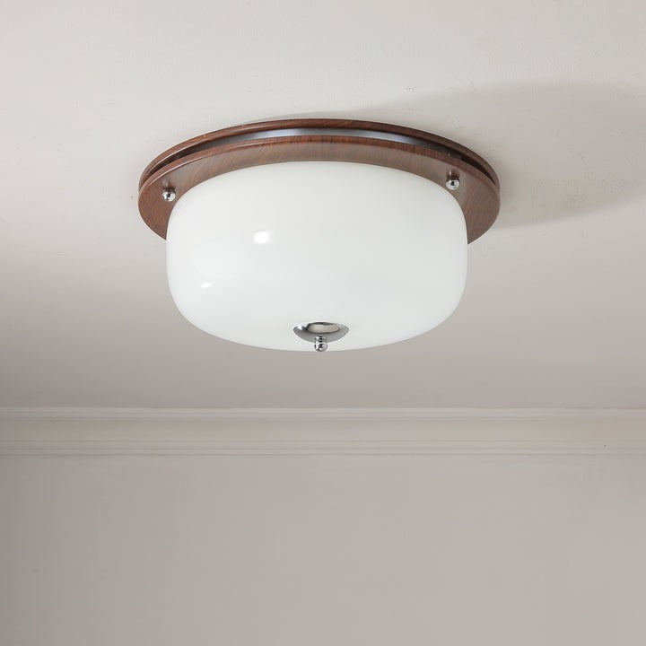 Frosted Glass Dome LED Flush Mount Light