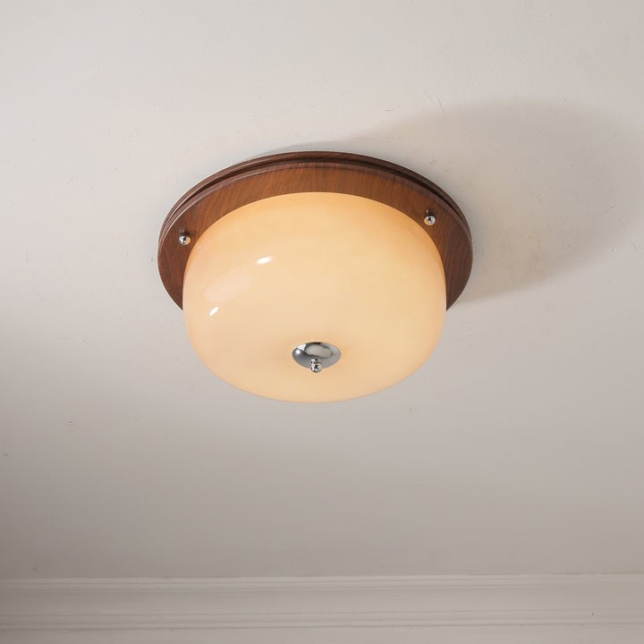 Frosted Glass Dome LED Flush Mount Light