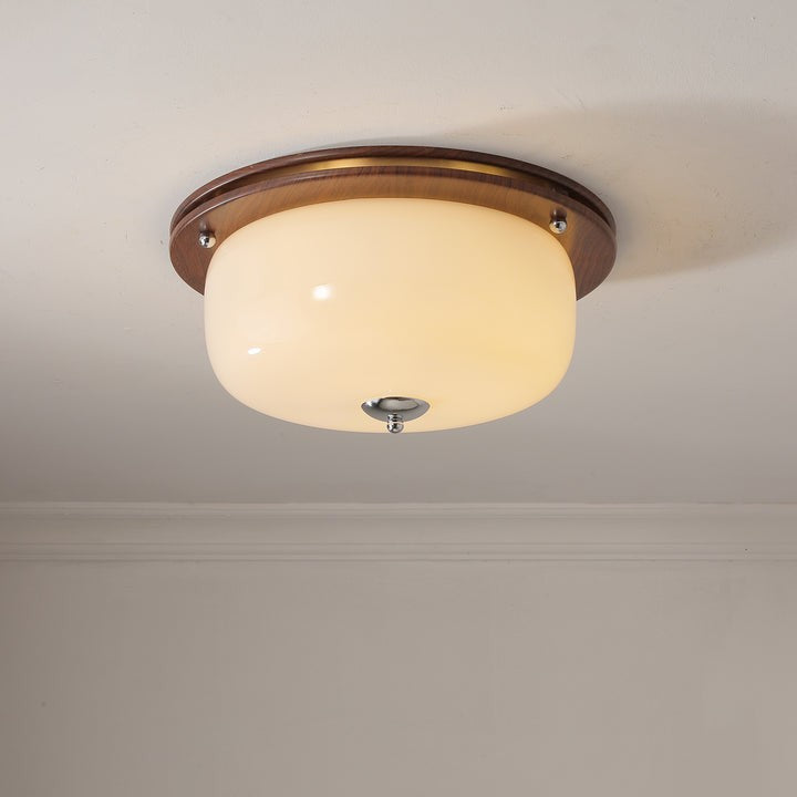 Frosted Glass Dome LED Flush Mount Light