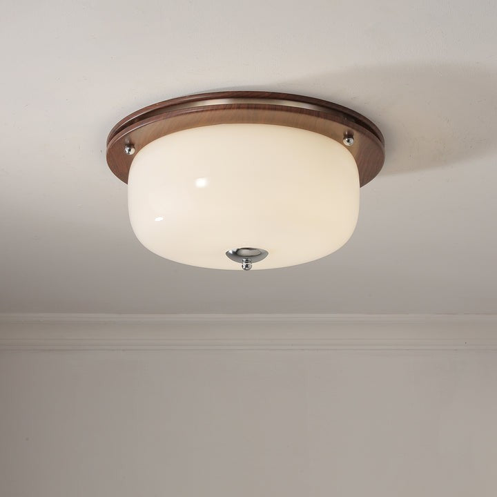 Frosted Glass Dome LED Flush Mount Light
