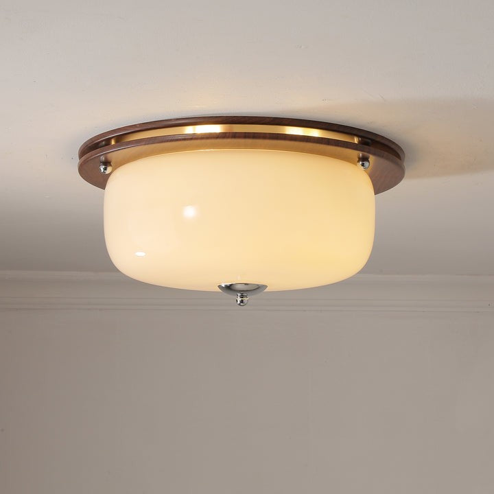 Frosted Glass Dome LED Flush Mount Light