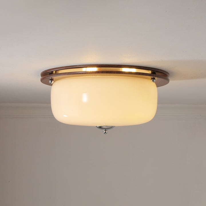 Frosted Glass Dome LED Flush Mount Light