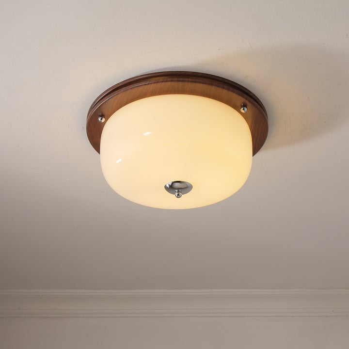 Frosted Glass Dome LED Flush Mount Light