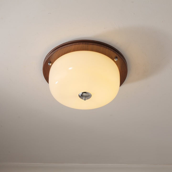 Frosted Glass Dome LED Flush Mount Light