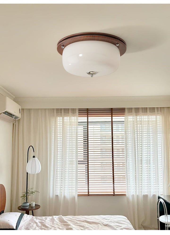 Frosted Glass Dome LED Flush Mount Light