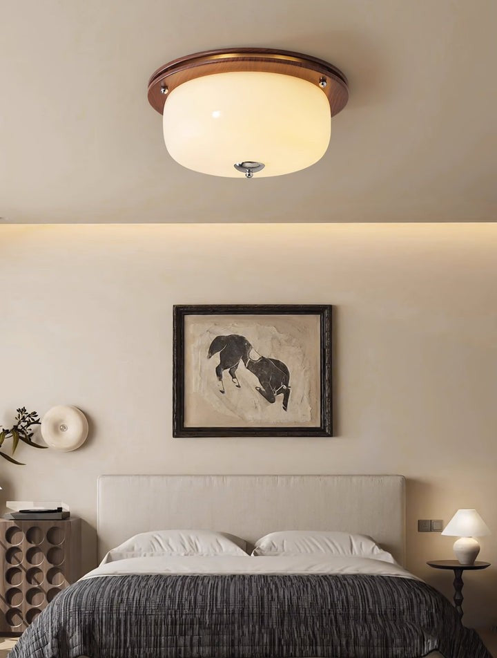 Frosted Glass Dome LED Flush Mount Light