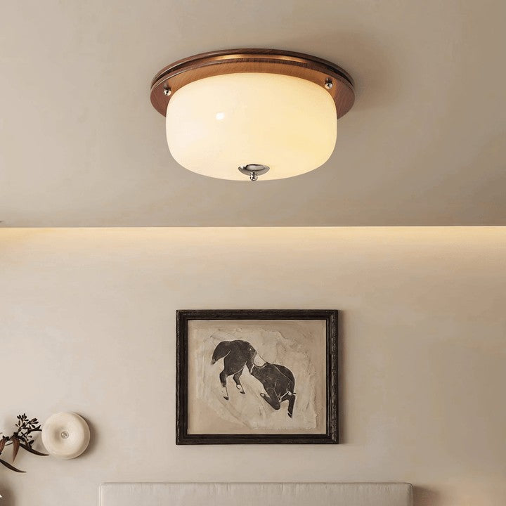Frosted Glass Dome LED Flush Mount Light