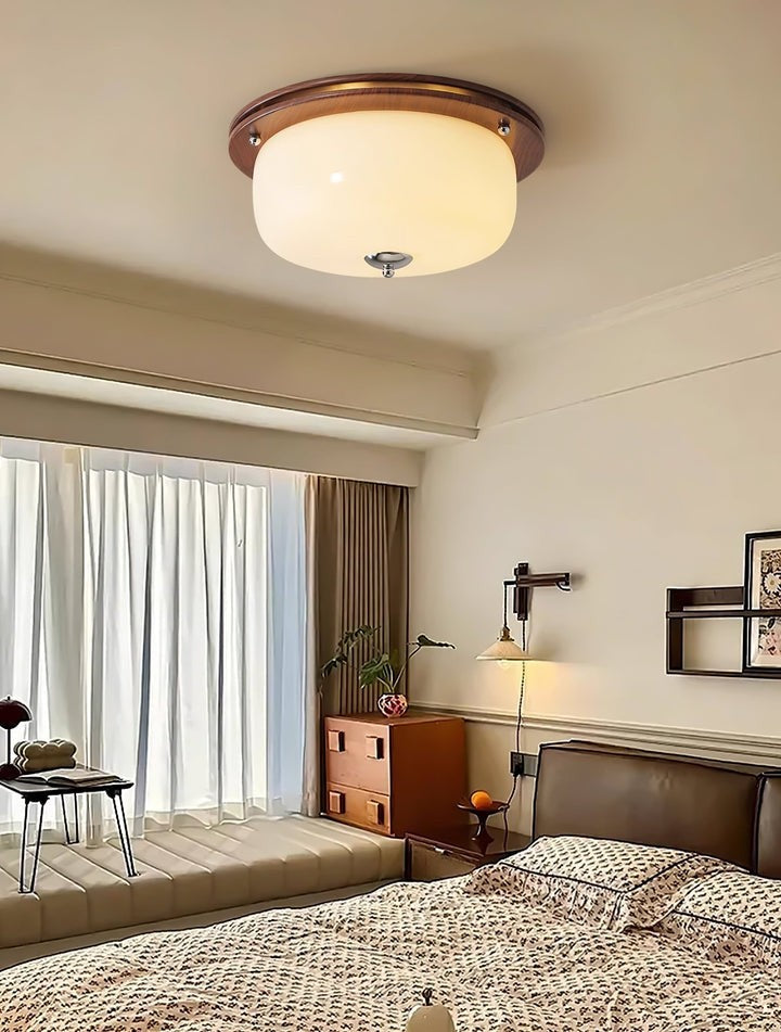 Frosted Glass Dome LED Flush Mount Light