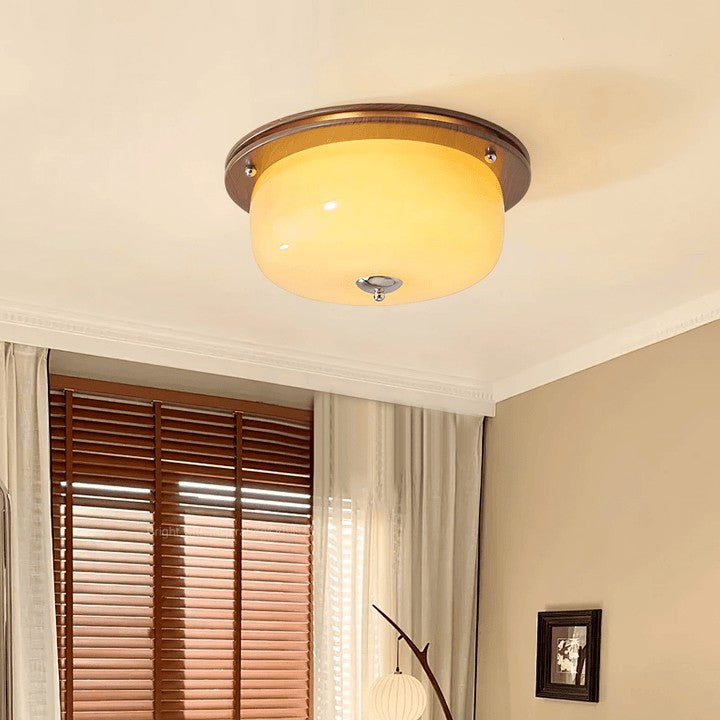 Frosted Glass Dome LED Flush Mount Light
