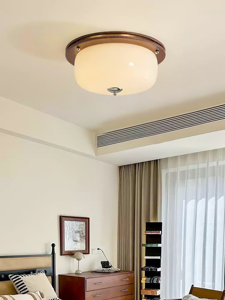 Frosted Glass Dome LED Flush Mount Light
