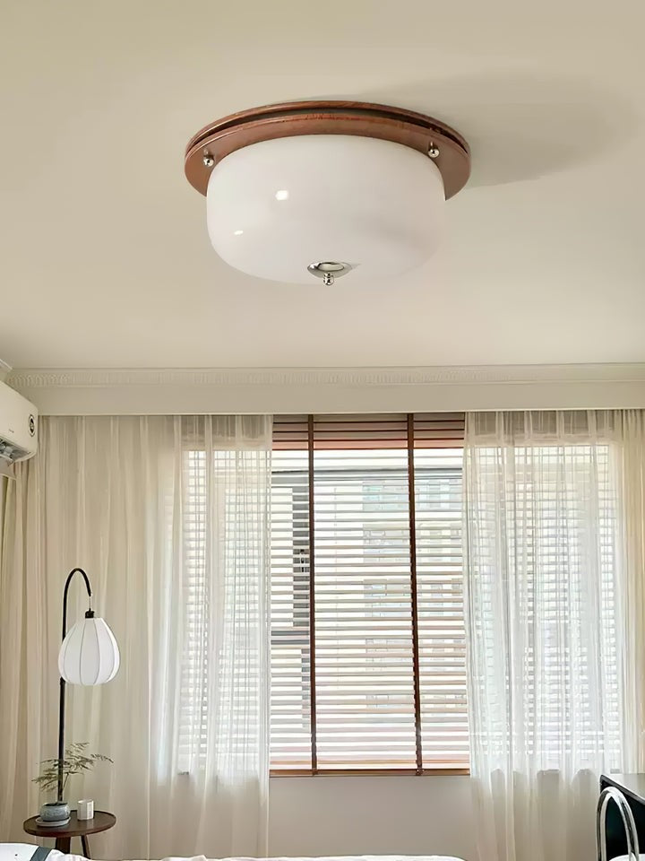 Frosted Glass Dome LED Flush Mount Light