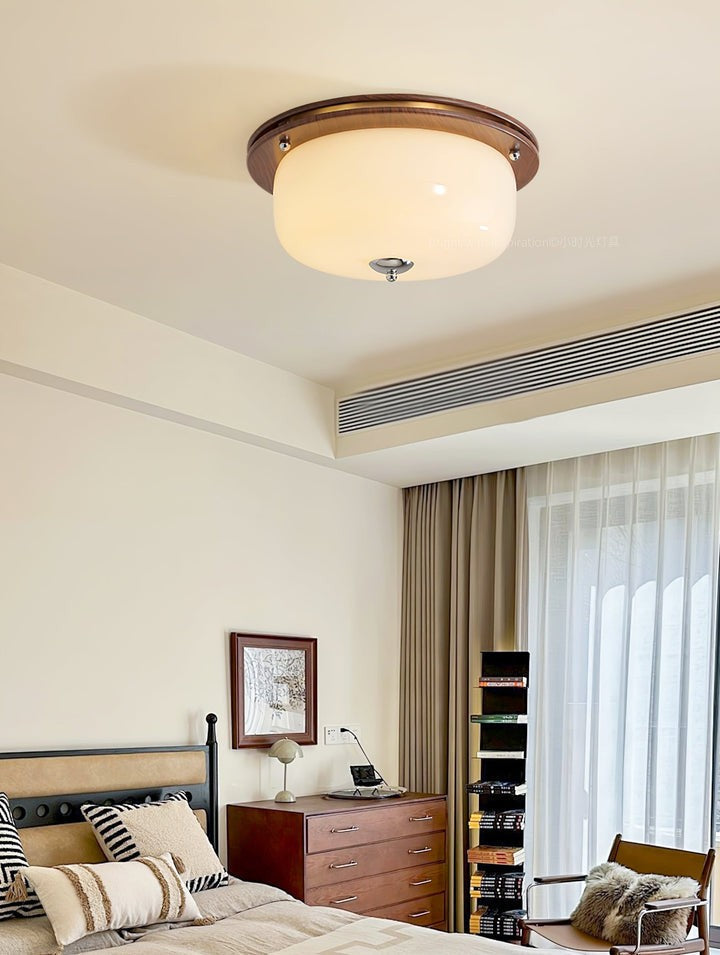 Frosted Glass Dome LED Flush Mount Light