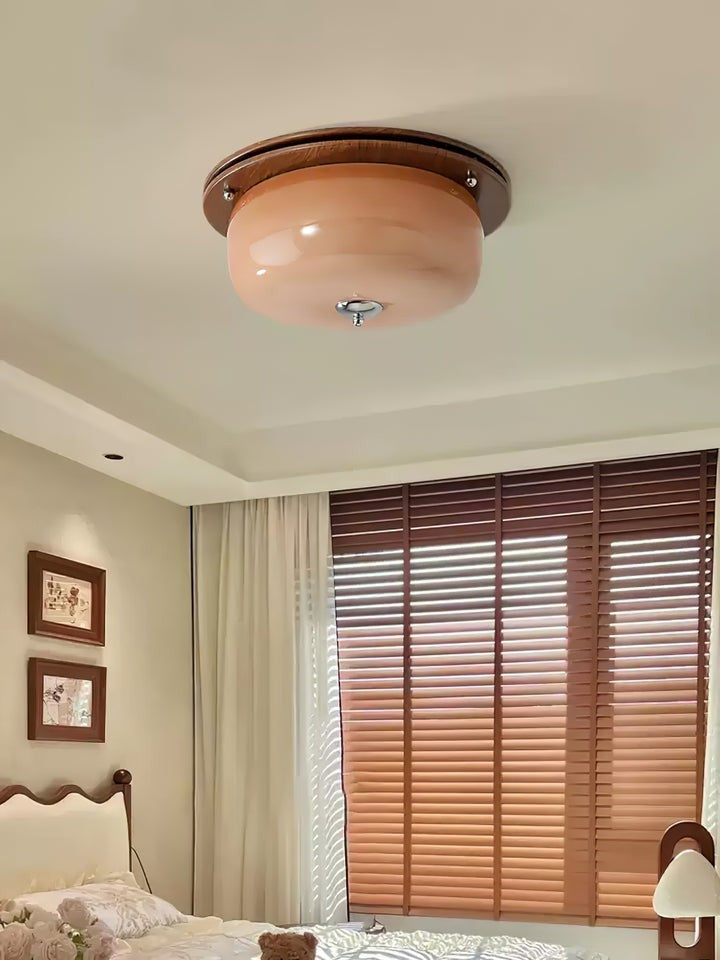 Frosted Glass Dome LED Flush Mount Light