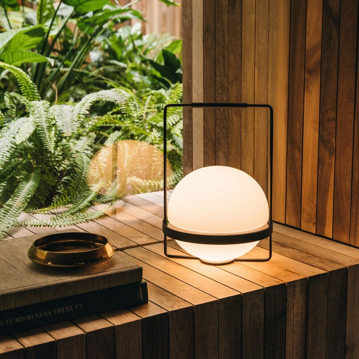 Garden-Inspired LED Table Lamp with Planter & Acrylic Globe