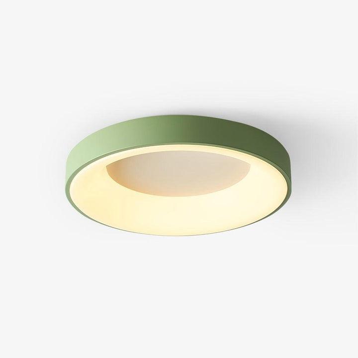 Modern Slim Iron & Acrylic LED Ceiling Light