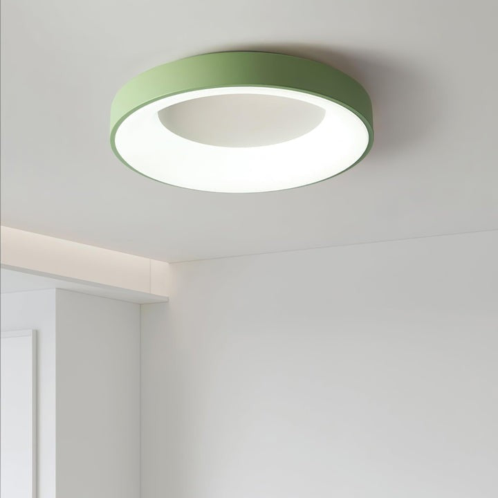 Modern Slim Iron & Acrylic LED Ceiling Light